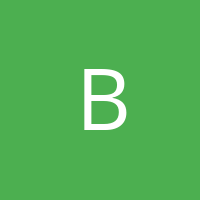 bradlywhittingt